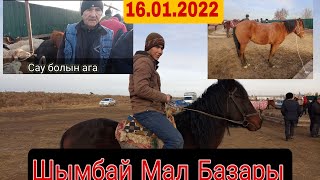 Шымбай Ат Базар. Шымбай Мал Базар. Shimbay mal bazar. At bazar. Ат базар. Мал базар. 16.01.2022