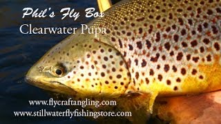 The Clear Water Pupa