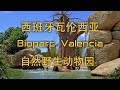 【Spain vlog】Bioparc Valencia |  瓦伦西亚自然野生动物园