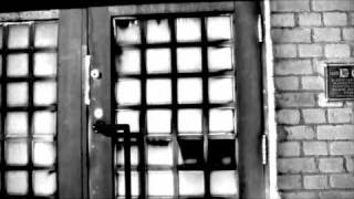 Starflower - You King