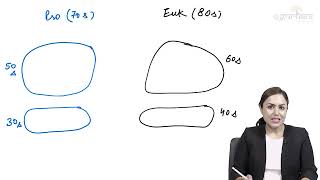 Types of RNA