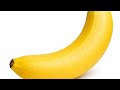Top 5 mind-blowing facts that will shock you 😱🔥You won’t believe #facts #factzone360°