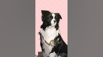 This Reverse: 1999 Character has the BEST Visual Design...?