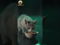🚀 لا تترك المستقبل يفوتك مرة أخرى!
