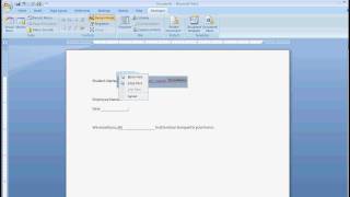 Famous MS Office Word template fields 2003 or 2007 Profile