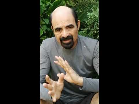 Expricacion , como funciona la Holofonia Tm, por su inventor, Hugo Zuccarelli