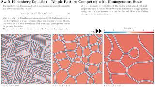 Swift-Hohenberg Equation - Ripple Pattern vs. Homogeneous State screenshot 3