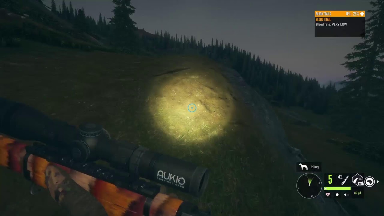 Ps5 Call of the wild- Runner Gunner Mission Hunter