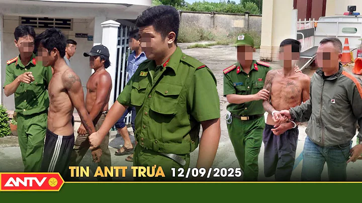 Tin tức an ninh trật tự nóng, thời sự Việt Nam mới nhất 24h trưa ngày 12/9 | ANTV