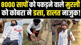 UP News: जाल में फंसे कोबरा ने फेमस यूट्यूबर मुरली हौसला को डसा, अस्पताल में भर्ती, हालत नाजुक! screenshot 1