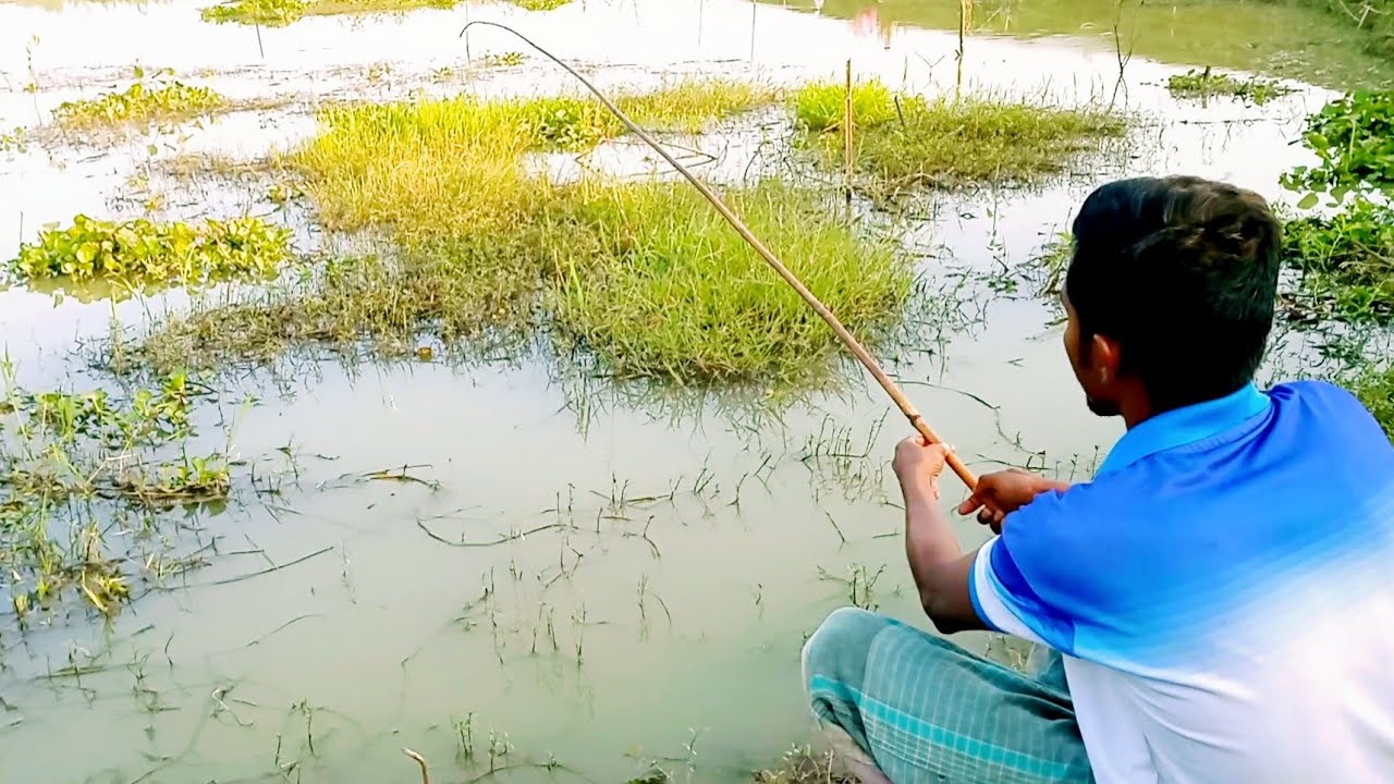 Traditional Fishing Technique With Hook | Hook Fishing Video |