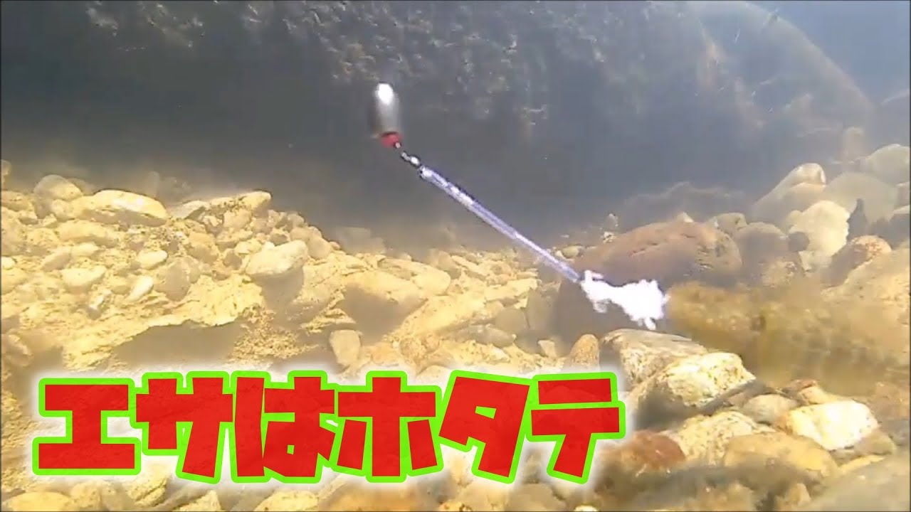 ダボハゼの水中行動がよくわかる動画【悦カメラ】 - YouTube
