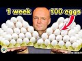I Ate 100 EGGS In 7 Days: Here
