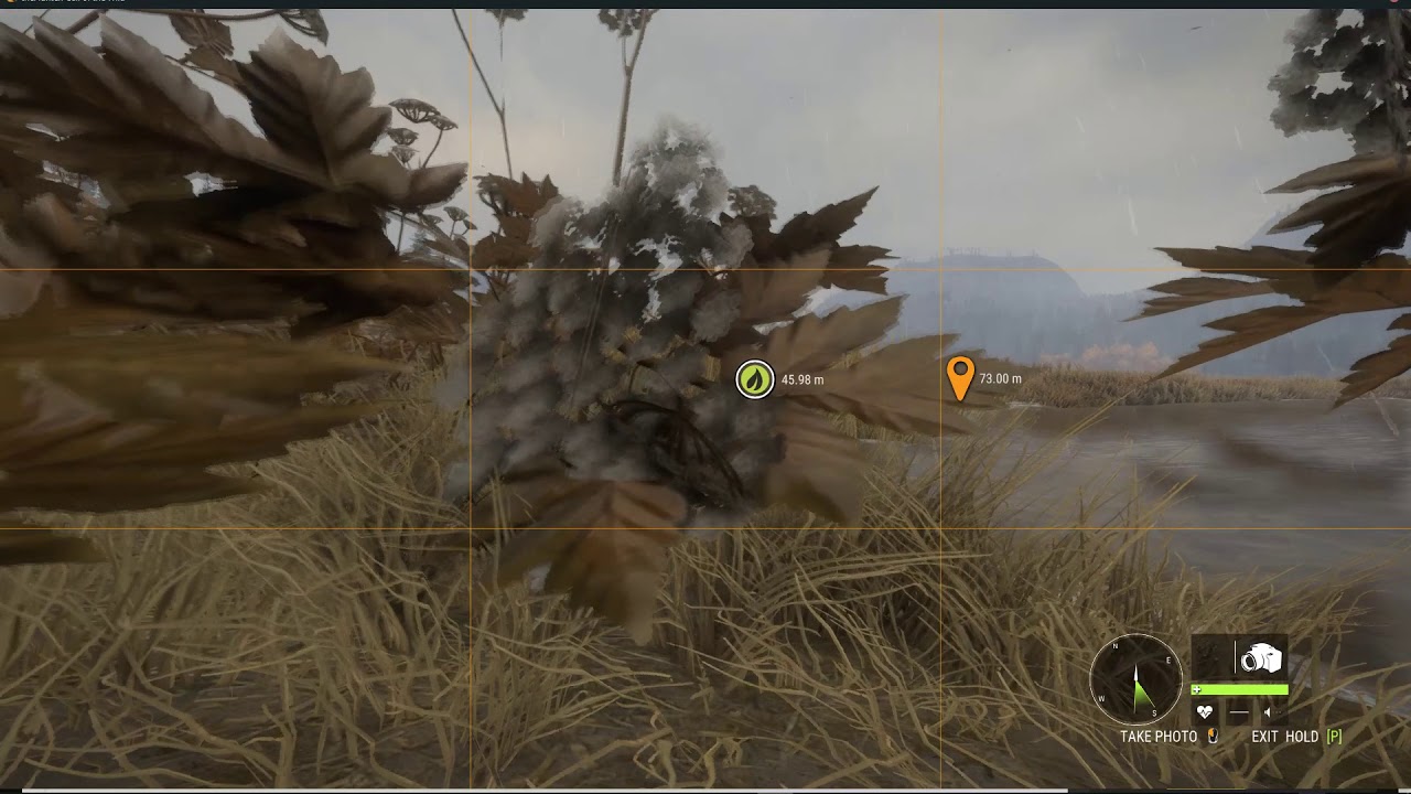 The Hunter Call Of The Wild Mr Black
