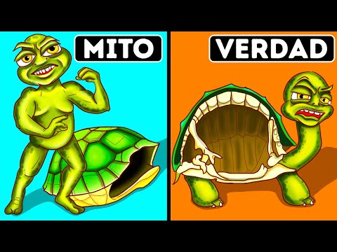 Escuchaste esto toda
