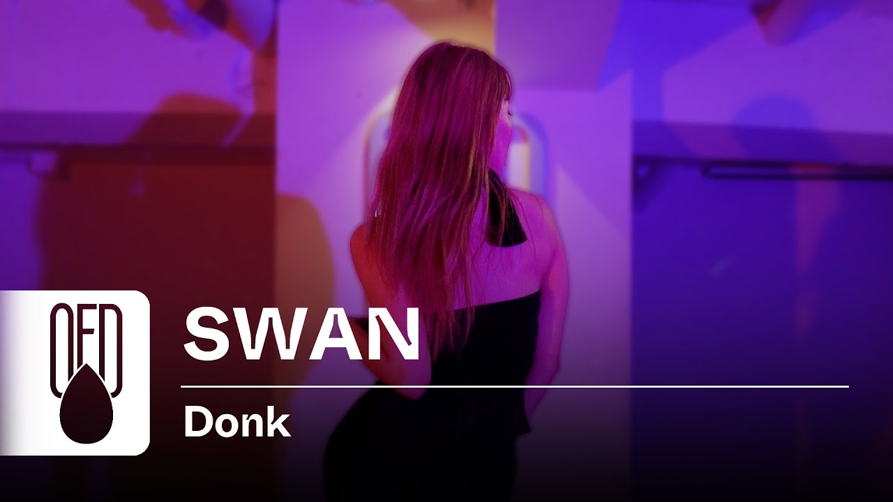 Beyoncé - Donk | SWAN (Choreography) - YouTube