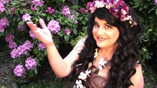 Lacy Knickers Reads Midsummer For Booklovers Burlesque