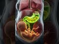 🍌 What Happens to a Baby When a Pregnant Woman Eats a Banana?