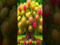 easy and fast method to propagate and grow rambutan fruit trees #fruit #nature #gardening