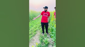 😀😀  #shortsvideo #shortvideo #shortsfeed #funny #funnyvideo #funnyvideo #shorts #short