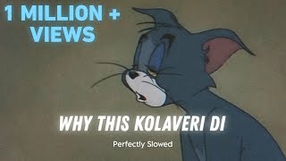 Why This Kolaveri Di - Dhanush (Perfectly Slowed) 𝗟𝗢𝗡𝗘𝗟𝗬 𝗟𝗢𝗙𝗜 𝗚𝗨𝗬 Resimi