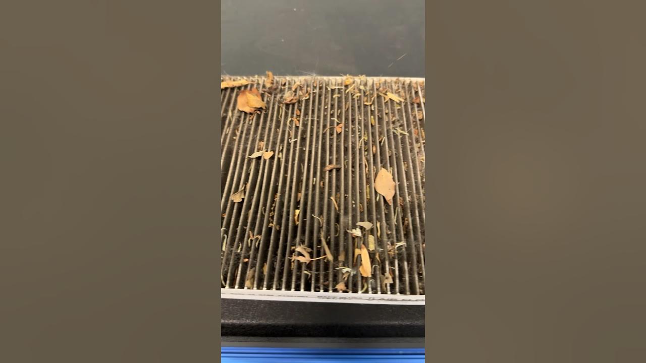 Dirty Cabin Air Filter Hall Of Shame 