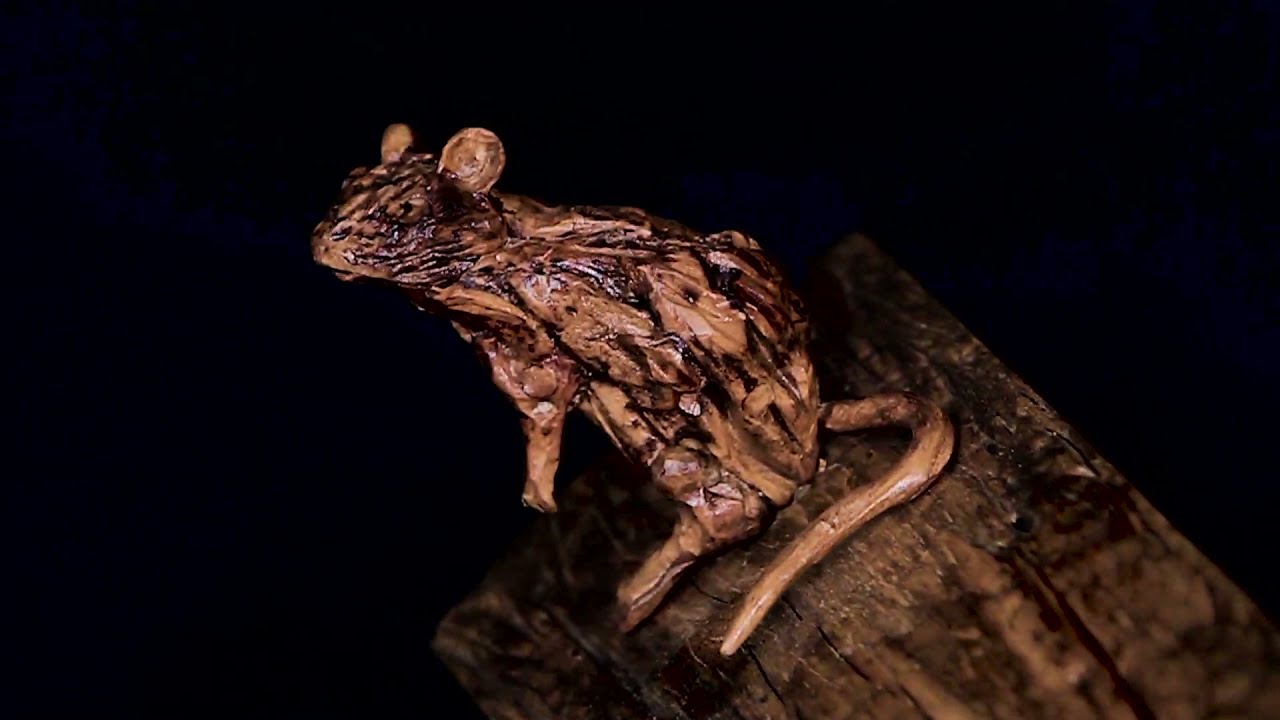 James Doran-Webb's Christmas Carving Set