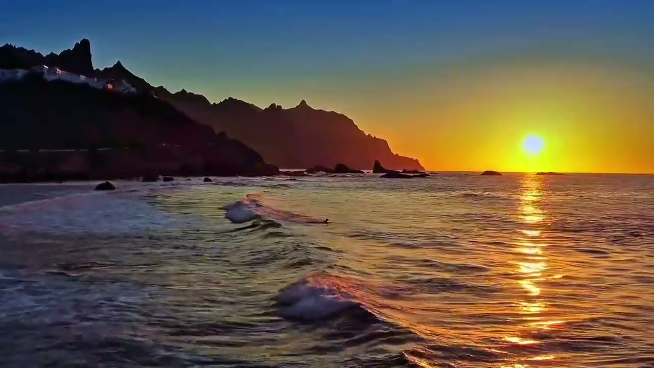 Saint falcon - É festa