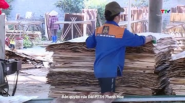Xuất khẩu gỗ và các sản phẩm từ gỗ tăng 24%