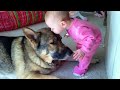 When you are my little friend  cute moments dog and human