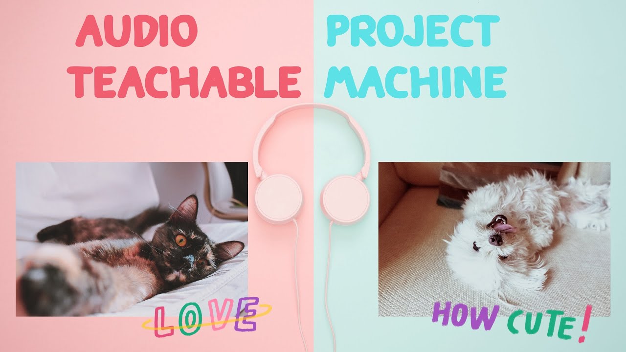 Teachable Machine Using Audio Audio Project | Teachable Machine - YouTube