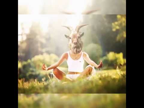 (4) Orthodoxy and the Religion of the Future: Yoga, Zen and Transcendental Meditation