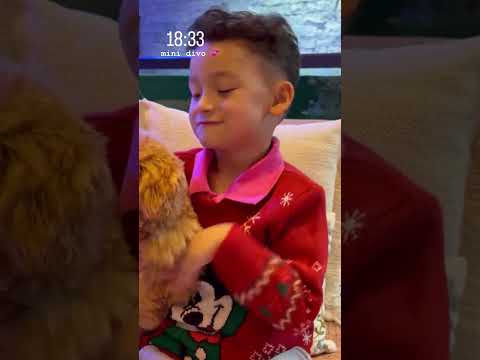 Bianca Andrade (@bianca) archived Instagram Stories compilation from June 8, 2026