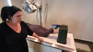 Knee/Intercondylar Fossa/Femur