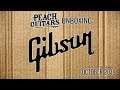 HUGE Gibson Custom AND USA Shipment Unboxing (October 2019) - Slash Doubleneck, Joe Perry and More!
