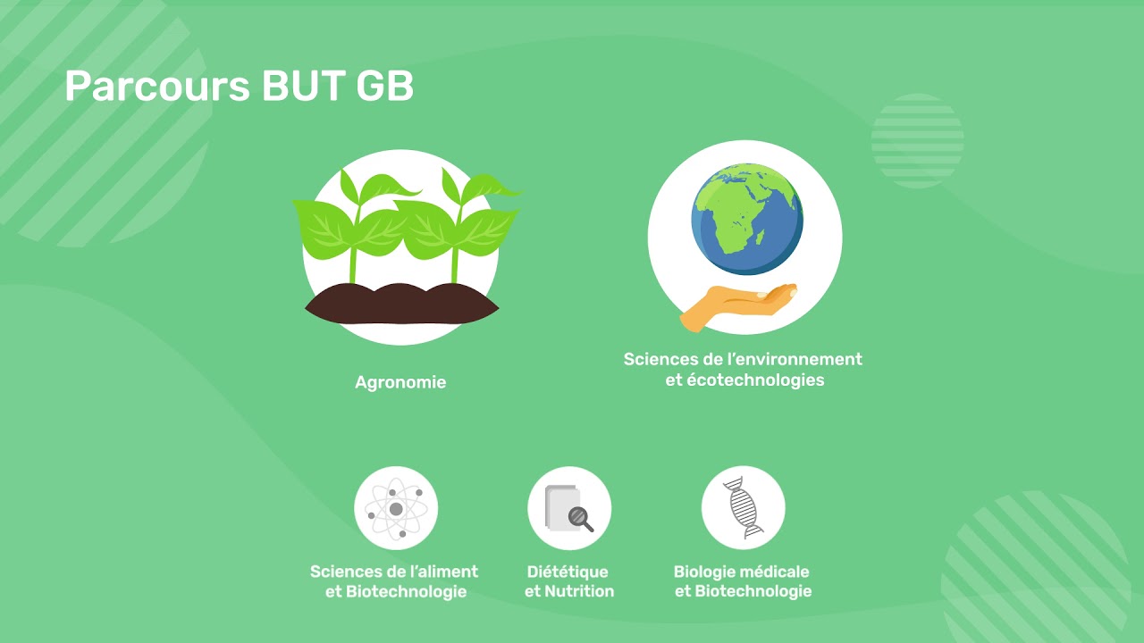 But Génie Biologique Parcours Diététique Et Nutrition