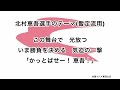 北村恵吾選手のテーマ(暫定流用)【東京ヤクルトスワローズ】