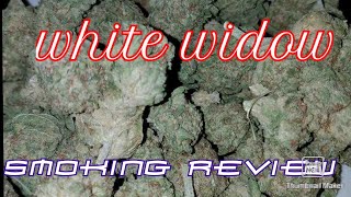 White widow harvest smoke review