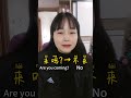 “不➕verb”to negate the action or behavior#中文 #汉语 #mandarin #chinese #hsk #chinesenewyear #不