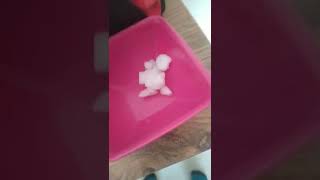 Karın Içinden Ne Çıkar?