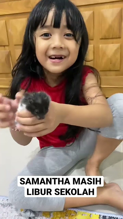 SAMANTHA LIBUR SEKOLAH MAIN SAMA ADIK DAN HAMSTER #shorts #viral #tiktok #viralshorts #video