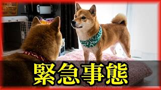不吉な事件が起こってしまいました・・・