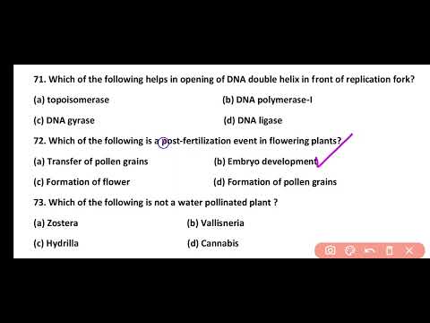 10000+ Most Important