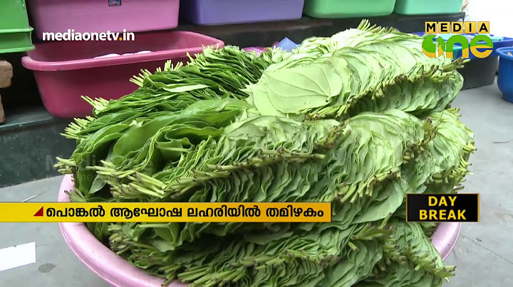 Tamil Nadu on Pongal celebration