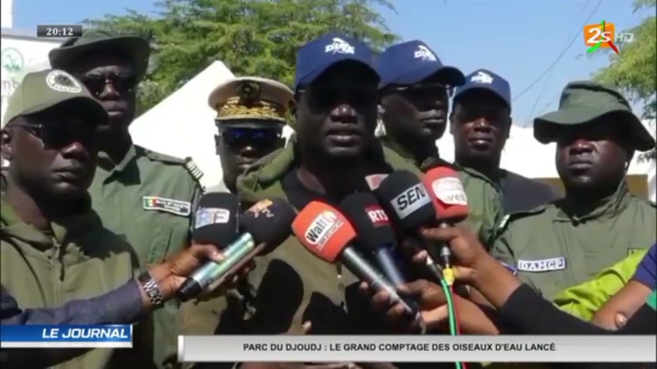 Journée international des oiseaux migrateurs