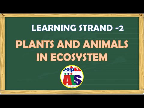 PLANTS AND ANIMALS IN ECOSYSTEM LEARNING STRAND-2 ; SCIENTIFIC LITERACY AND CRITICAL THINKING SKILLS