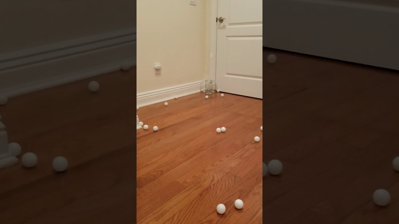 PING PONG BALL TOSS GAME INTO GLASSES YouTube