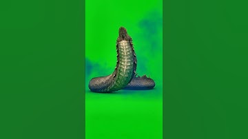 snake greenscreen. #greenscreen #tutorial #effects #videoeffects #edit #editing
