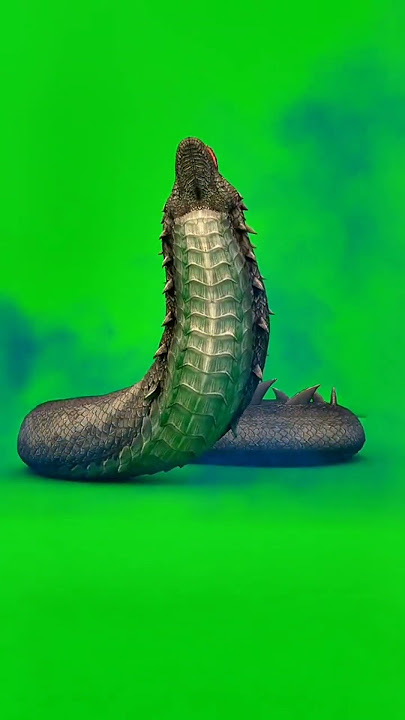 snake greenscreen. #greenscreen #tutorial #effects #videoeffects #edit #editing