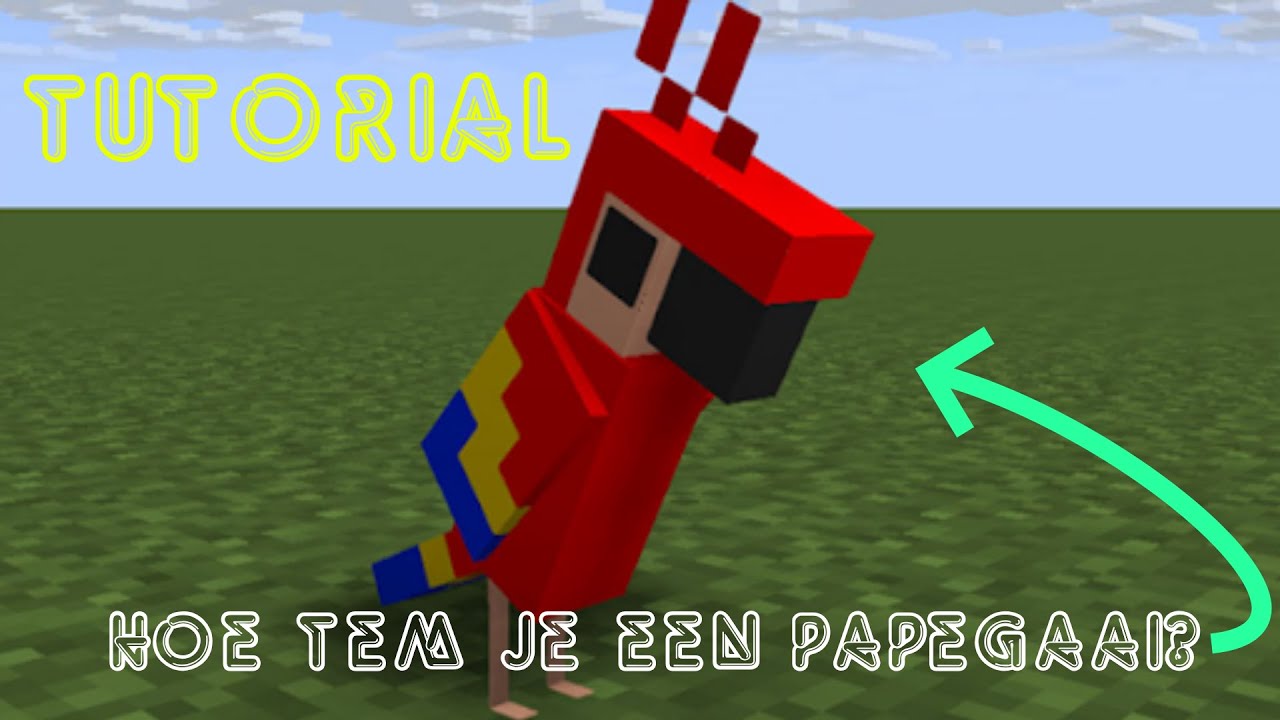 Hoe tem je een papegaai in Minecraft? | Tutorial - YouTube